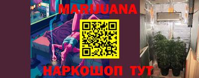 шишки Новокубанск