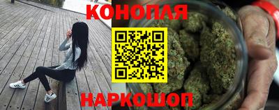 шишки Новокубанск