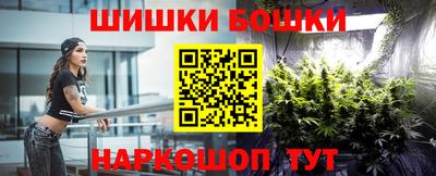 шишки Новокубанск