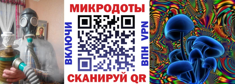 Псилоцибиновые грибы Psilocybine cubensis  сайты даркнета какой сайт  Волоколамск 